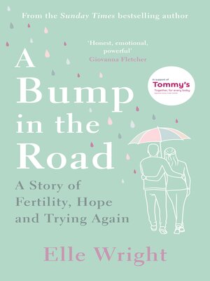 cover image of A Bump in the Road
